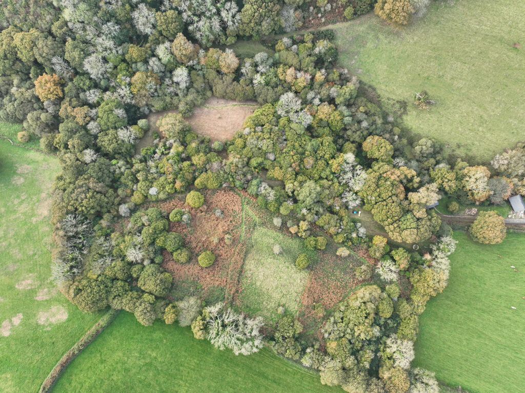 Sustainability at the heart of our parks