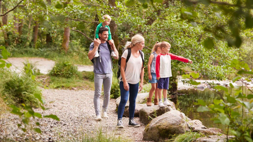 Activities on-site