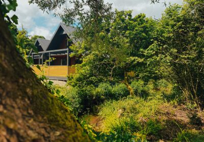 The Vale opening July