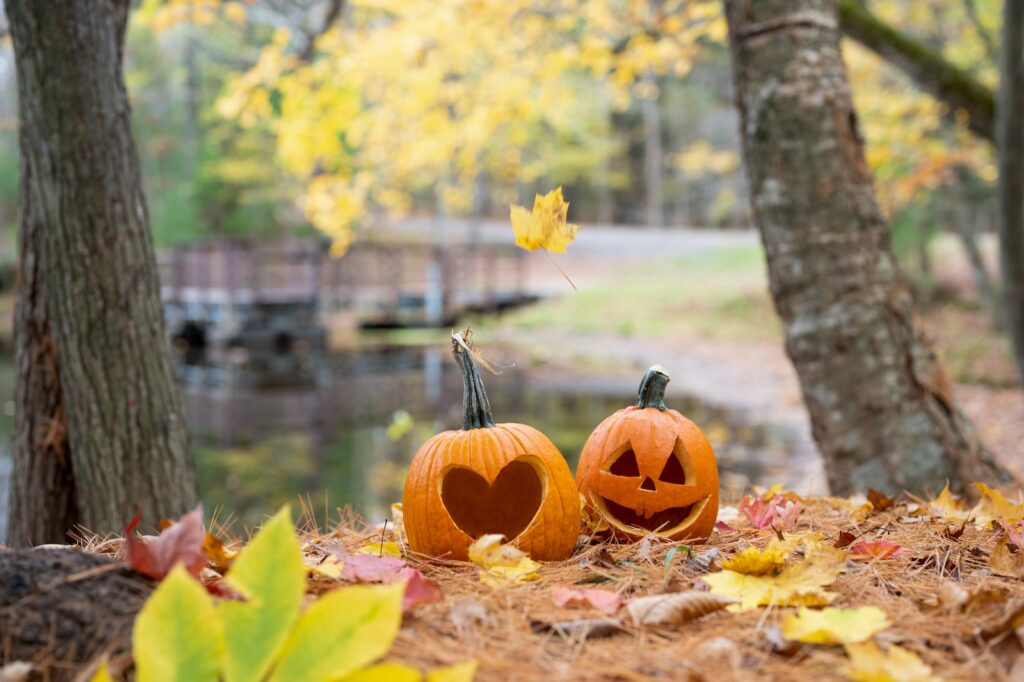 Halloween activities at the Vale, Cornwall