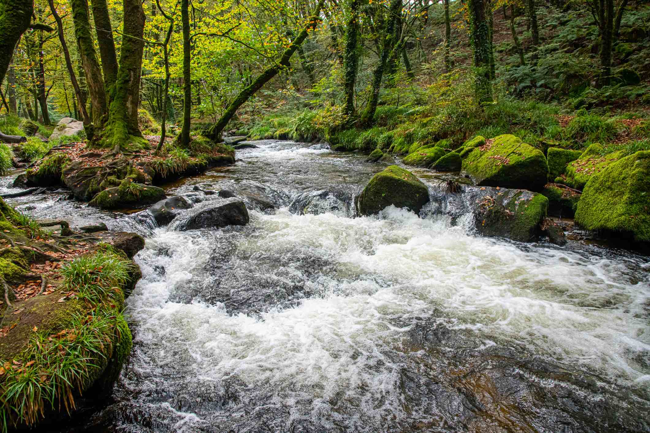 Wild swimming spots in Cornwall