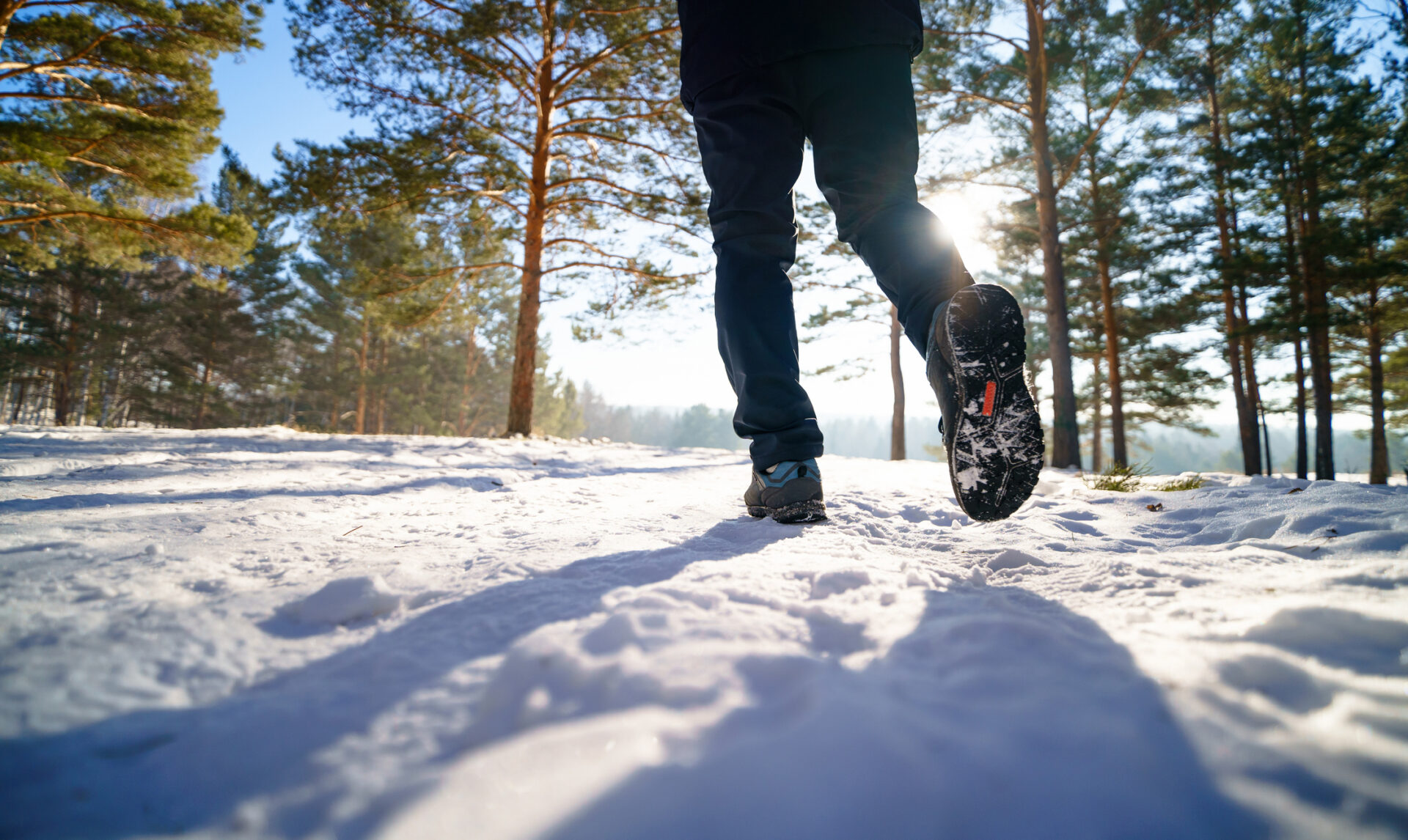 Winter wanders from The Vale
